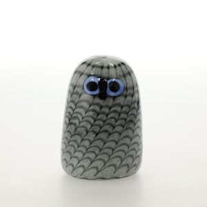 Birds Owlet グレー 0011
