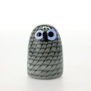 Birds Owlet グレー 0013