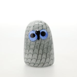 Birds Owlet グレー 0014