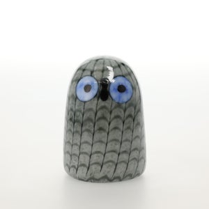 Birds Owlet グレー 0020
