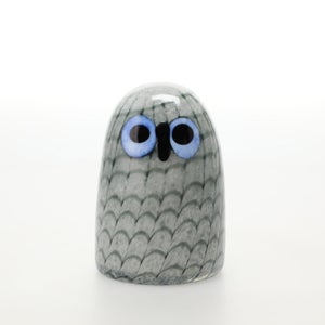 Birds Owlet グレー 0021