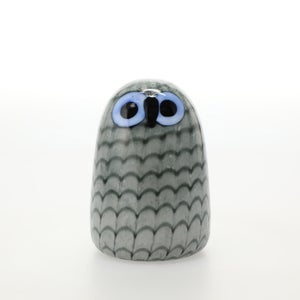 Birds Owlet グレー 0026