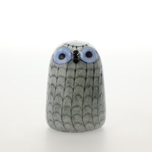 Birds Owlet グレー 0027