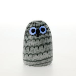 Birds Owlet グレー 0028