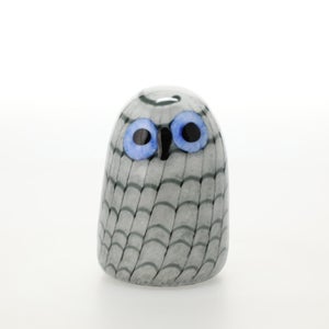 Birds Owlet グレー 0029