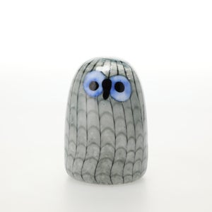 Birds Owlet グレー 0031