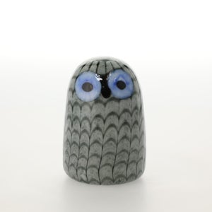 Birds Owlet グレー 0032