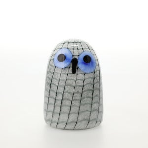 Birds Owlet グレー 0035