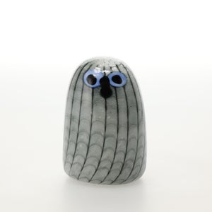 Birds Owlet グレー 0036