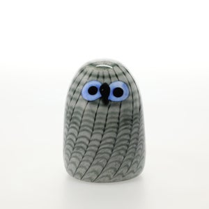Birds Owlet グレー 0037