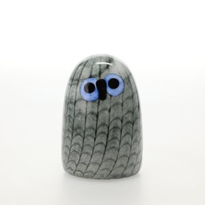 Birds Owlet グレー 0038