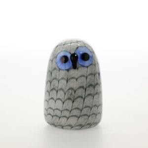 Birds Owlet グレー 0041