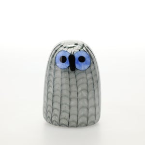 Birds Owlet グレー 0042