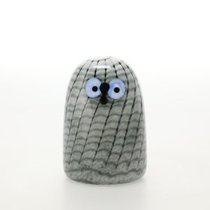 Birds Owlet グレー 0043