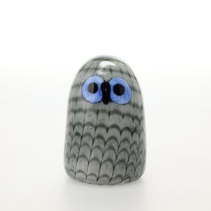 Birds Owlet グレー 0044