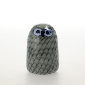 Birds Owlet グレー 0045