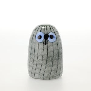 Birds Owlet グレー 0046