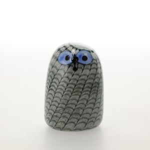 Birds Owlet グレー 0047