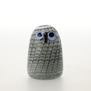 Birds Owlet グレー 0049