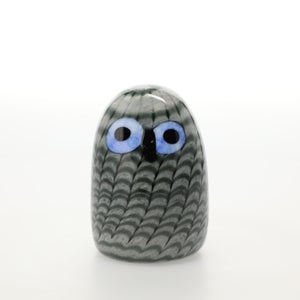 Birds Owlet グレー 0050