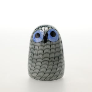 Birds Owlet グレー 0051