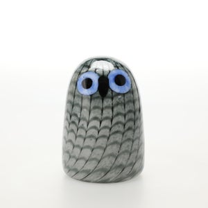 Birds Owlet グレー 0052