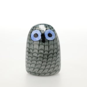 Birds Owlet グレー 0053