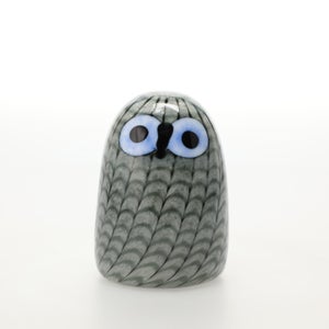 Birds Owlet グレー 0056