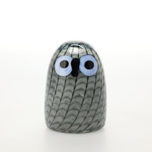 Birds Owlet グレー 0057