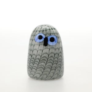 Birds Owlet グレー 0059