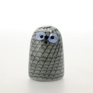 Birds Owlet グレー 0064