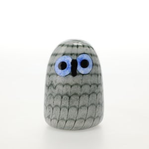Birds Owlet グレー 0065