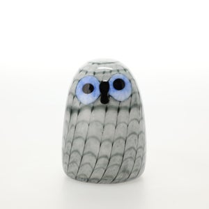 Birds Owlet グレー 0066