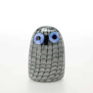 Birds Owlet グレー 0068