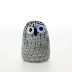 Birds Owlet グレー 0069