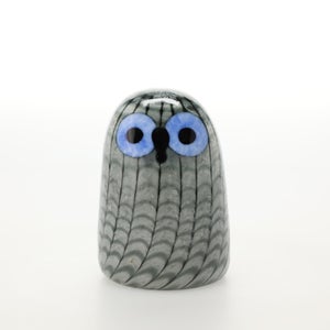 Birds Owlet グレー 0070
