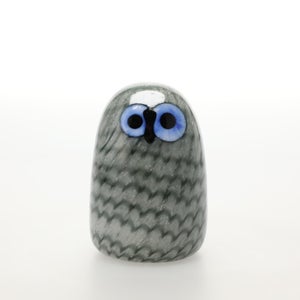 Birds Owlet グレー 0072