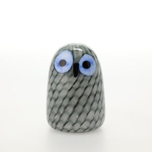 Birds Owlet グレー 0074