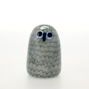 Birds Owlet グレー 0076