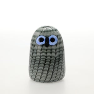 Birds Owlet グレー 0077