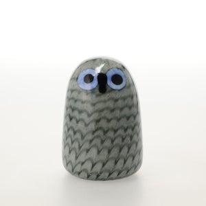 Birds Owlet グレー 0078