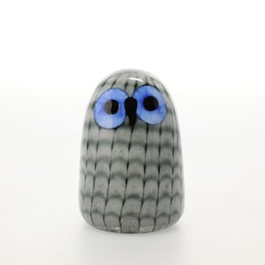 Birds Owlet グレー 0079