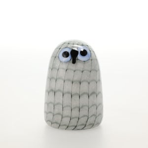 Birds Owlet グレー 0081