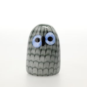 Birds Owlet グレー 0082