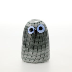 Birds Owlet グレー 0083
