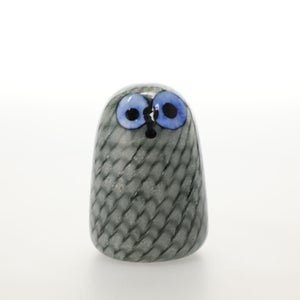 Birds Owlet グレー 0084