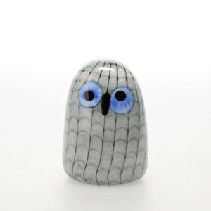 Birds Owlet グレー 0085