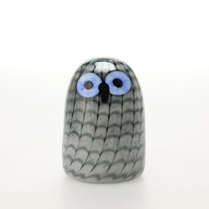 Birds Owlet グレー 0087