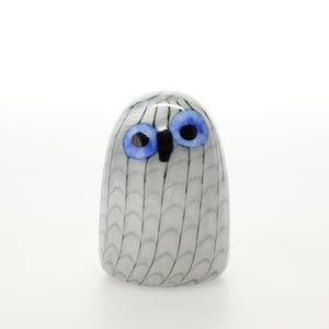 Birds Owlet グレー 0088