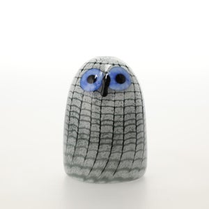 Birds Owlet グレー 0090
